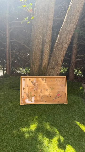 Cadre mural avec composition de fleurs séchées dans une palette neutre